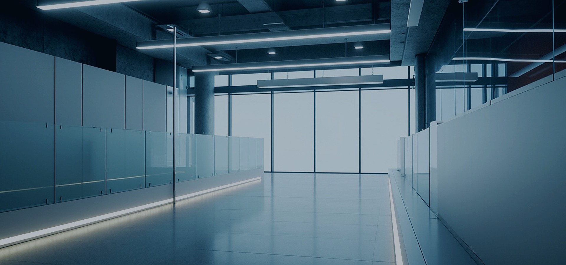 Corporate Vision